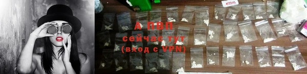 твердый Новозыбков